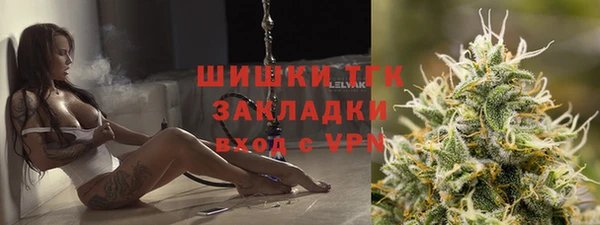 spice Богданович
