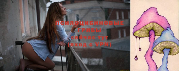 spice Богданович