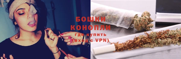 apvp Богородицк