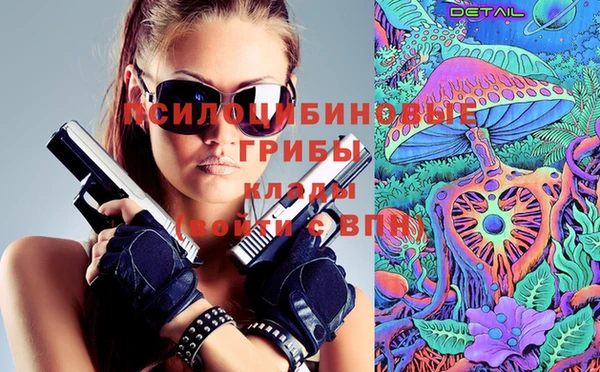 apvp Богородицк