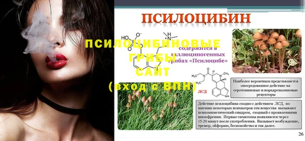 spice Богданович