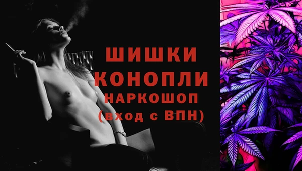 spice Богданович