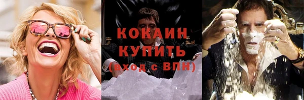 apvp Богородицк