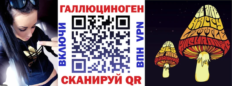 Псилоцибиновые грибы Psilocybine cubensis  закладки  Волхов 